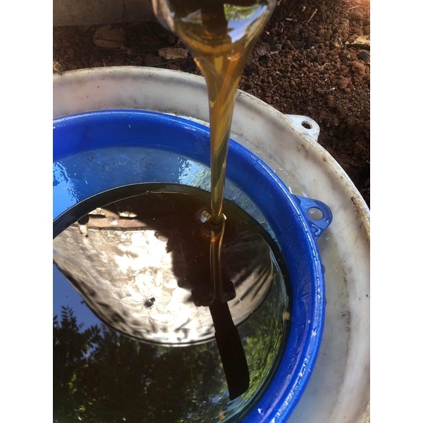 Mật ong đặc sản hoa Cà Phê