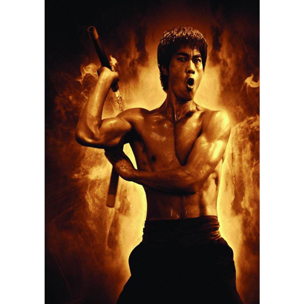 Poster In Hình Lý Tiểu Long Dán Tường Trang Trí Phòng Khách Tường Nhà Tranh Nghệ Thuật Ms; 504