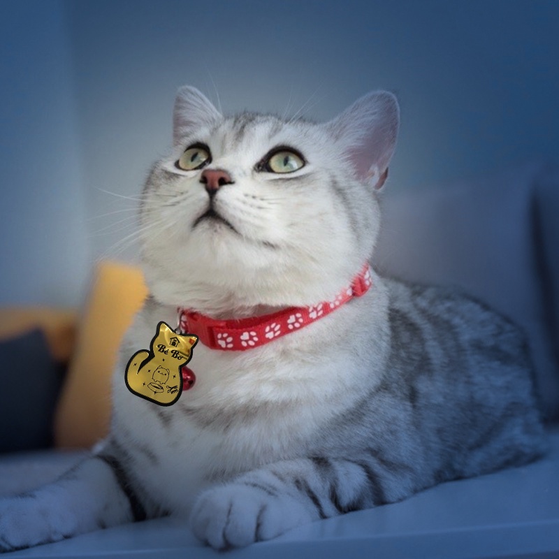 Vòng đeo cổ thú cưng - Thẻ tên thú cưng - pet tag - thẻ tên chó mèo khắc tên theo yêu cầu
