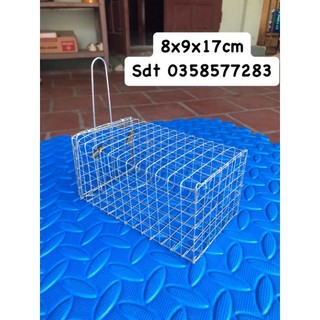Lồng bắt chuột dưới 5 lạng.8.9.17cm