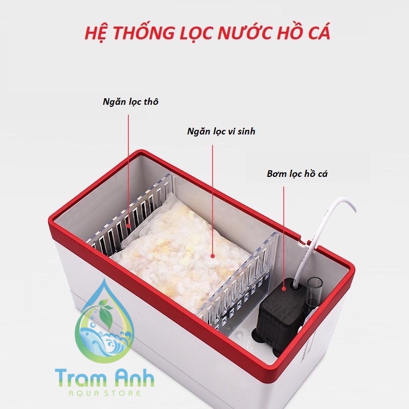 Bể cá mini để bàn đa năng nguyên bộ