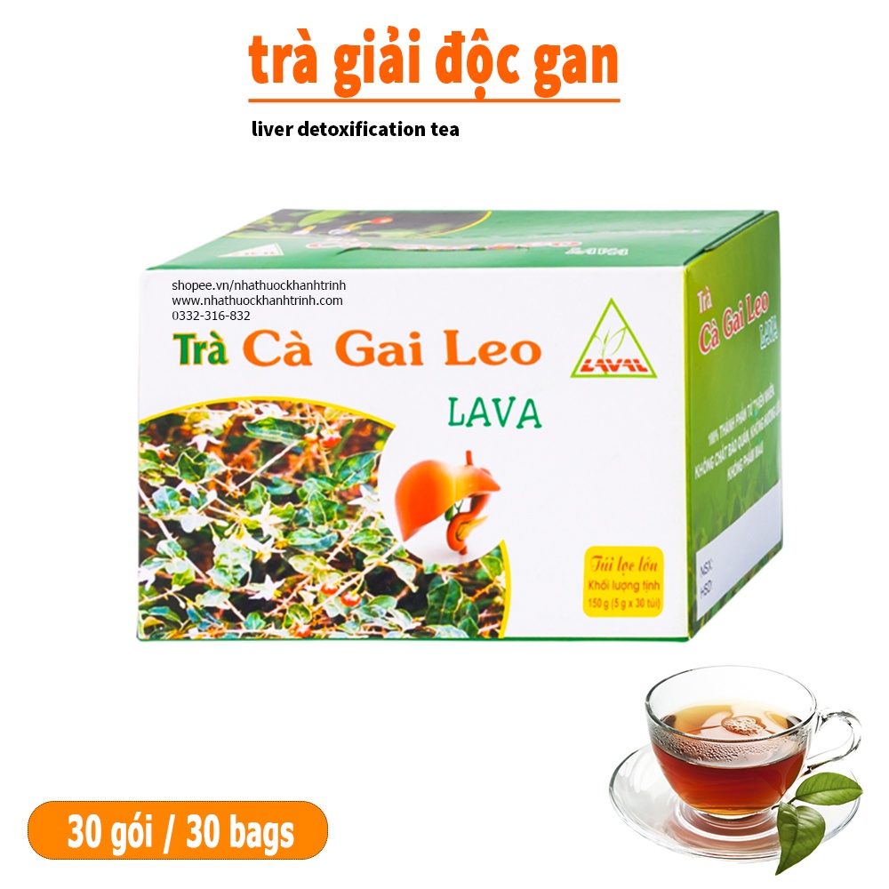 Trà Cà Gai Leo Lava (30 túi lọc) - hỗ trợ bổ gan, giải độc gan, hạ men gan