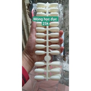 Túi móng học tập vẽ 10 vỉ 240 móng