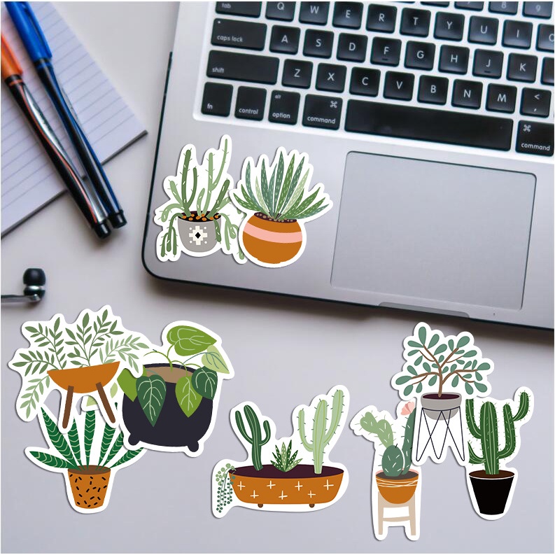 Sticker dán hình kiểng lá không thấm nước, sticker dán điện thoại hình kiểng lá monstera, philodendron, anthurium