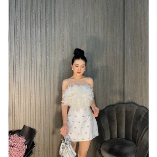 ĐẦM BODY LÔNG ĐÍNH ĐÁ