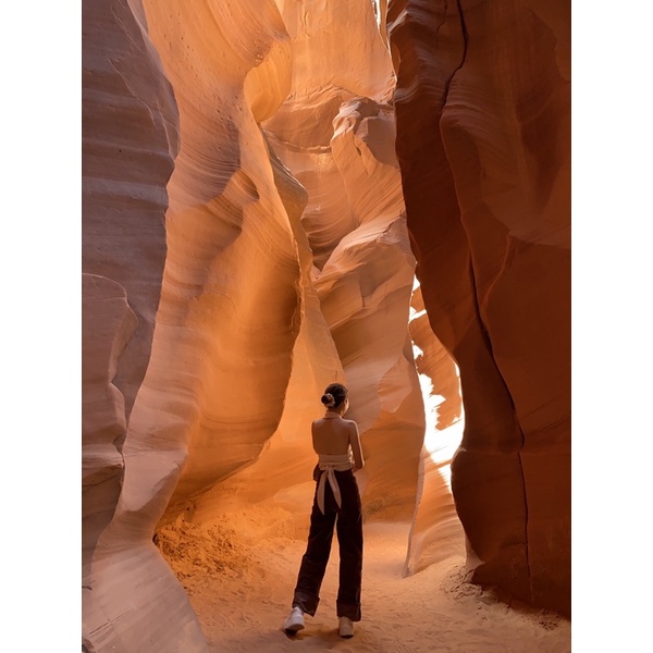 Quần nâu ống đứng H&M eo 58-62