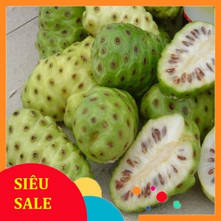 4k trái  nhàu tươi