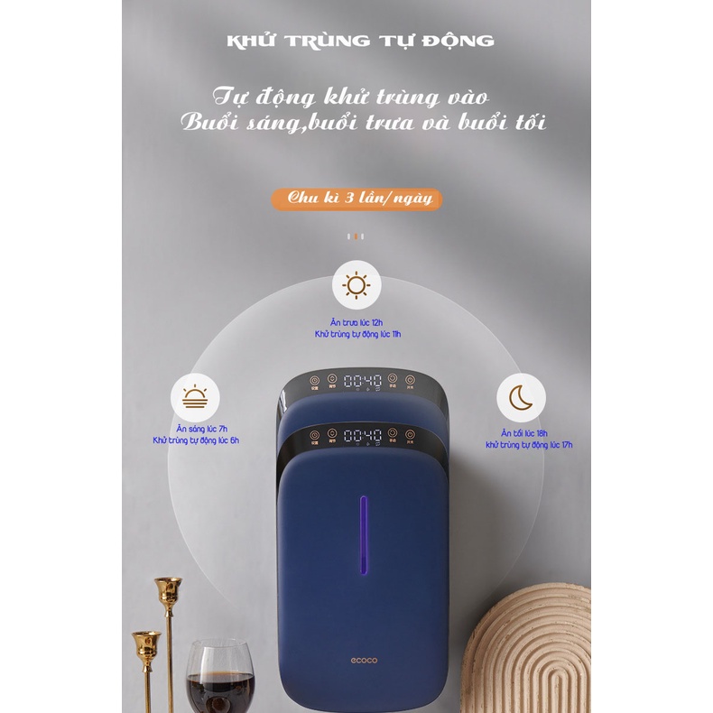 Máy Sấy Và Khử Khuẩn Đũa Thìa Ecoco