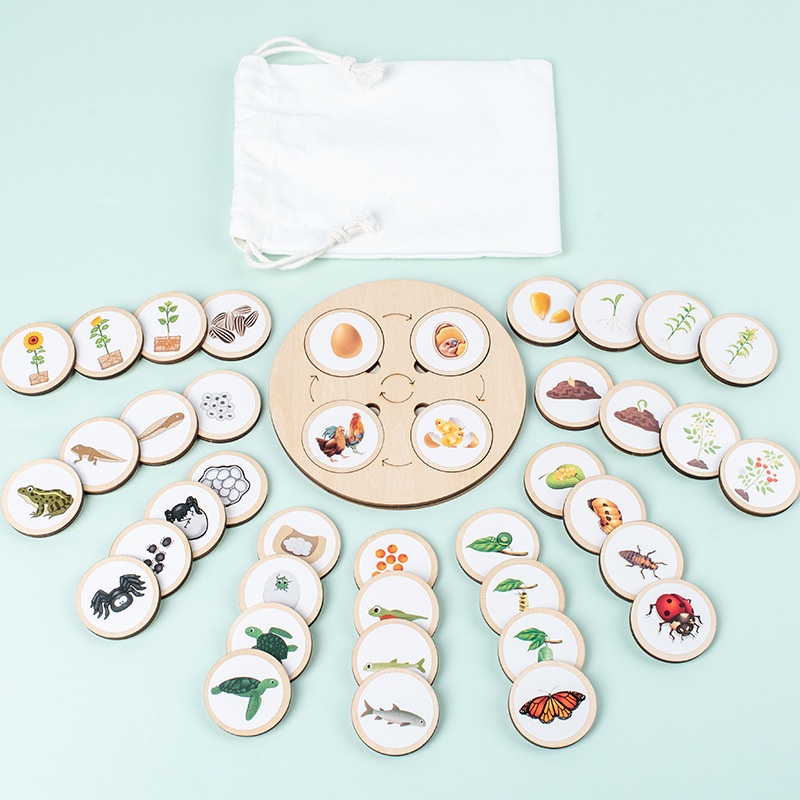 Đồ chơi giáo dục montessori xếp hình vòng đời sinh trưởng động thực vật chất liệu gỗ nhận thức sớm cho trẻ