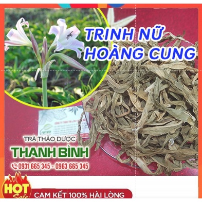 Trinh Nữ Hoàng Cung 100g Ch.ữa U Sơ Tử Cung - Hàng Công Ty