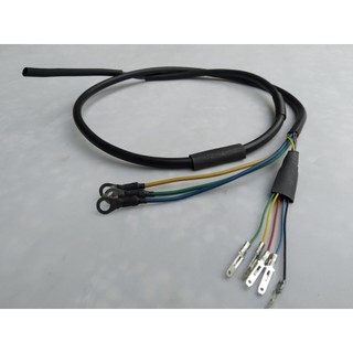 Dây động cơ xe máy điện 350w, 500w - dây động cơ xe điện loại dây lớn xe điện