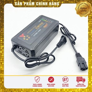 Sạc Xe Đạp Điện 48V12A 48V20A 60V20A Chống Phồng Bình, Sạc tự ngắt khi đầy (xe ninja, 133S, Pega, Zomer, Vespa,Xmen...)
