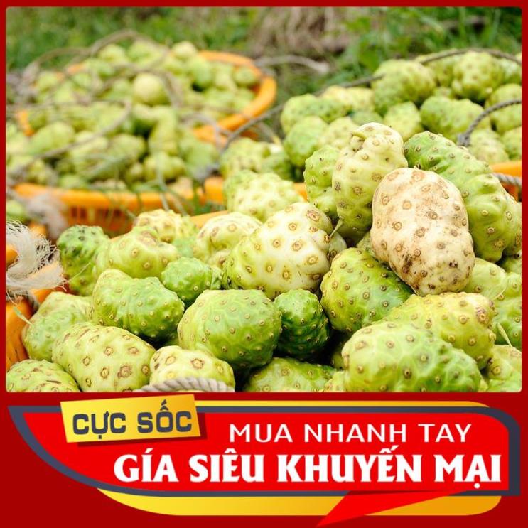 1kg trái nhàu tươi