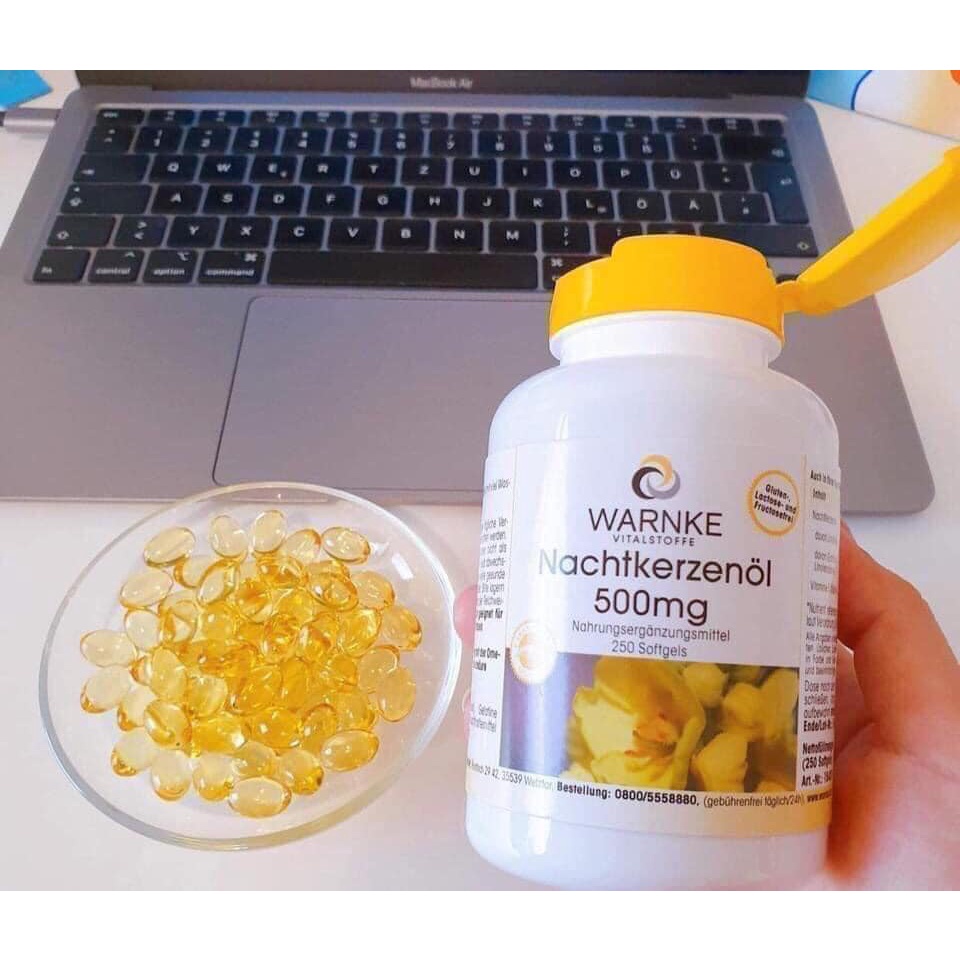 Hoa anh thảo 250v Warnke Đức