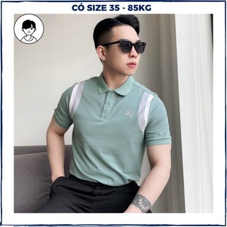 Áo polo nam cao cấp vải cá sấu poly chống nhăn áo thun nam có cổ thêu hình form bigsize