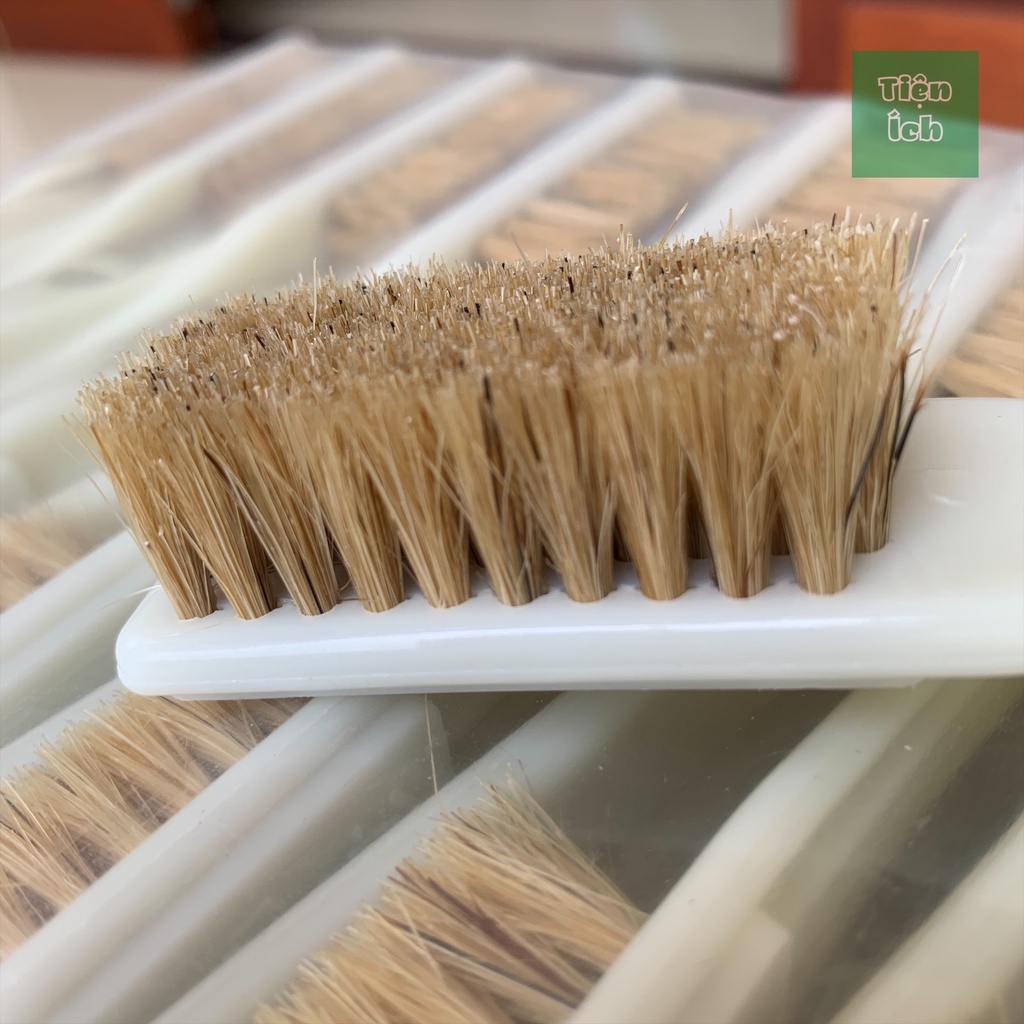 Bàn Chải Đánh Giày Lông Heo Cán Nhựa Dễ  Dàng Sử Dụng Vệ Sinh Giày Dép Ví Da