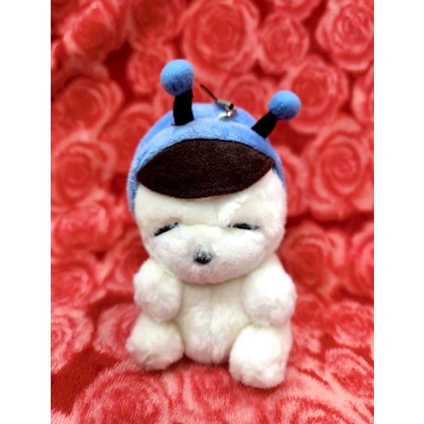 Gấu bông hí mashimaro siêu xinh