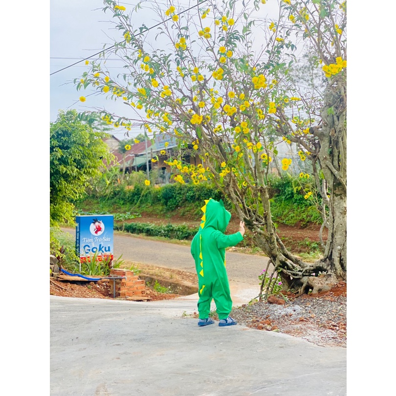Body thú- body khủng long dài tay