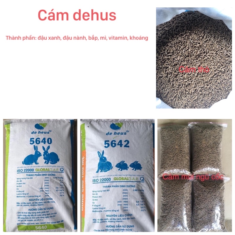 1 kg cám thỏ bọ Dehus - Date mới