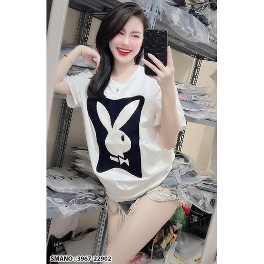 Áo phông thỏ ô vuông DA6