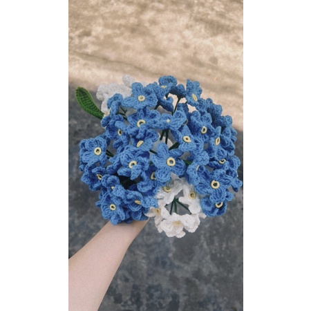 Bó Hoa Lưu Ly bằng Len cao cấp - Handmade tặng người thương