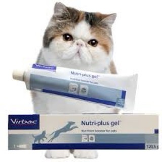 Gel dinh dưỡng Nutri-plus