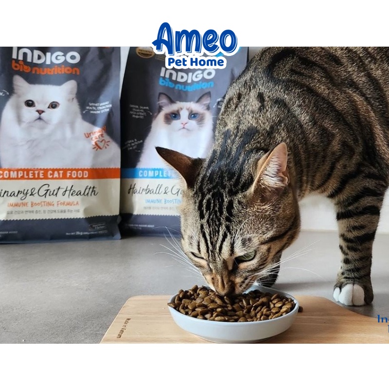 Hạt hữu cơ mèo INDIGO BIONUTRITION hairball, urinary, kitten - thức ăn mèo con INDIGO tiêu lông,tiết niệu,thận