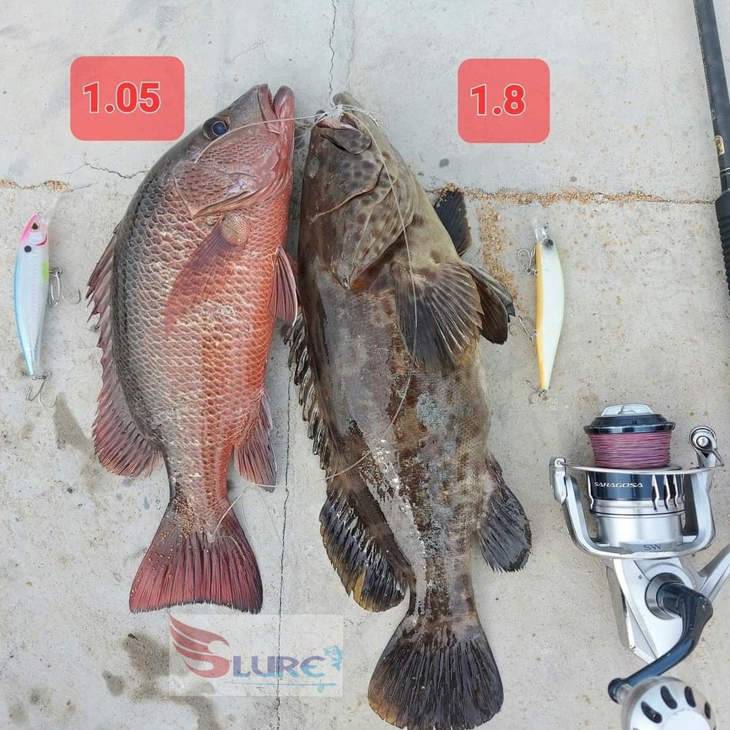 Mồi giả câu cá, lure DW51 13.5cm/17.5g