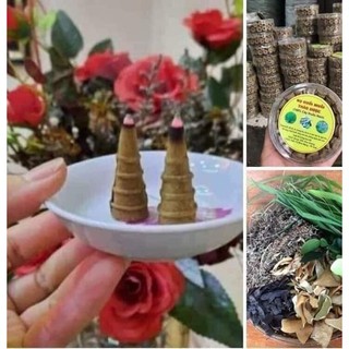 Hộp 40 nụ đuổi muỗi thảo dược