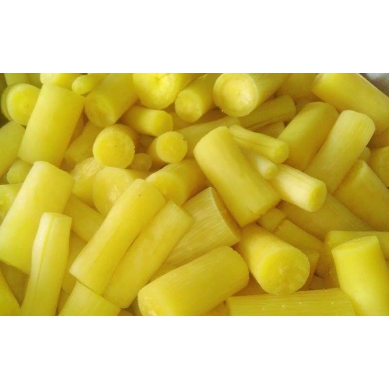 COMBO 5 CÂY GIỐNG KHOAI SẮN  RUỘT VÀNG -  RUỘT TRẮNG DÀI 40-50CM