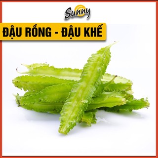 45 Hạt giống Đậu rồng,Đậu khế siêu quả, ra trái liên tục, chịu nhiệt tốt nên trồng được quanh năm