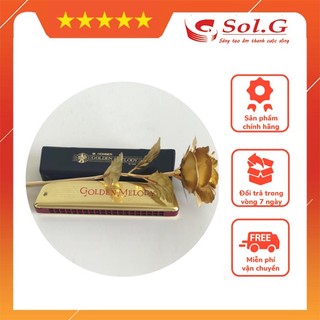 Harmonica Tremolo Hohner Golden Melody M2416017 (Key C) - Chính hãng Hohner - Nhập Khẩu Đức - Phân phối Sol.G