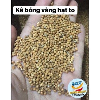 Combo 3kg Kê bóng lớn( theo phân loại)