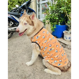 ÁO THUN GIÁ RẺ CHO CHÓ LỚN