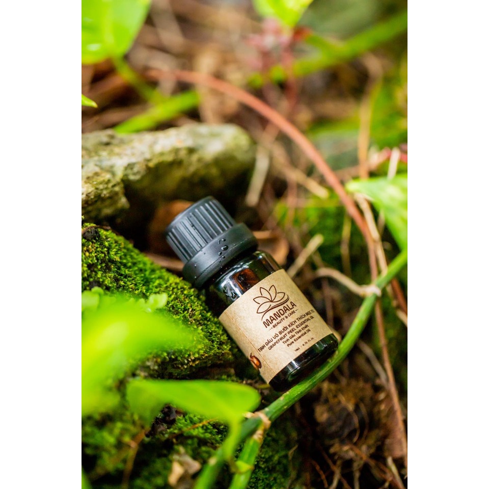 Tinh Dầu Vỏ Bưởi Kích Thích Mọc Tóc, Kích Mọc Tóc Dạng Bôi Mandala 10ml (KÍCH MỌC TÓC DÀY BỒNG)