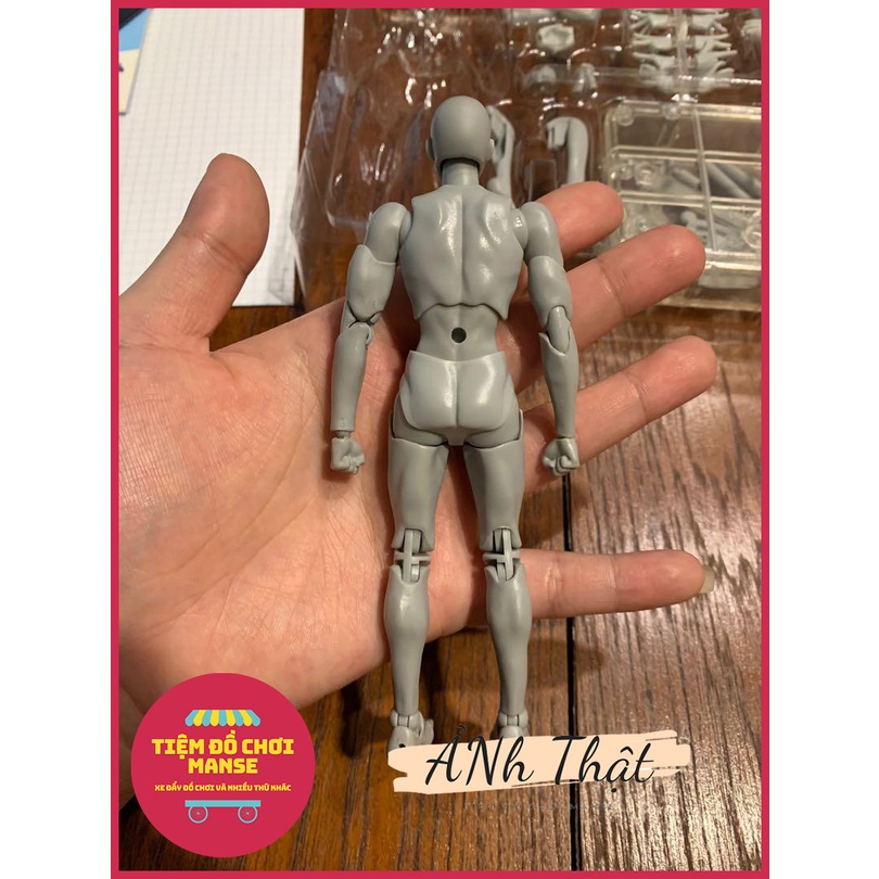 Mô Hình Đồ Chơi Cơ Thể Người Kiểu Nam/Nữ Phiên Bản - Kentaro Yabuki Rihito - SHF Body Kun DX Set - Mẫu tập vẽ