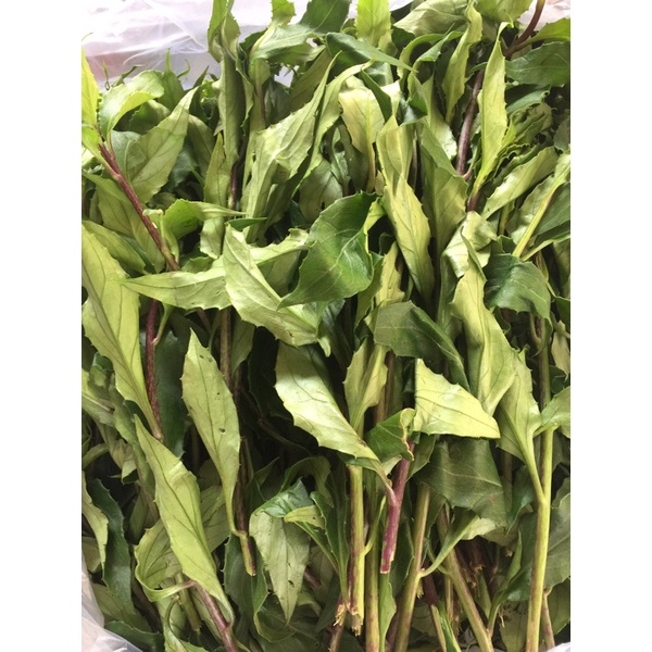 COMBO 3 KG RAU LỦI  - ĐẶC SẢN TÂY NGUYÊN