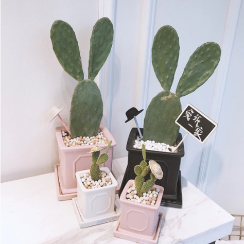 Kẹp gỗ bảng đen ghi tên shop GDIY4 giá tên sản phẩm phụ kiện chụp ảnh decor trang trí vintage