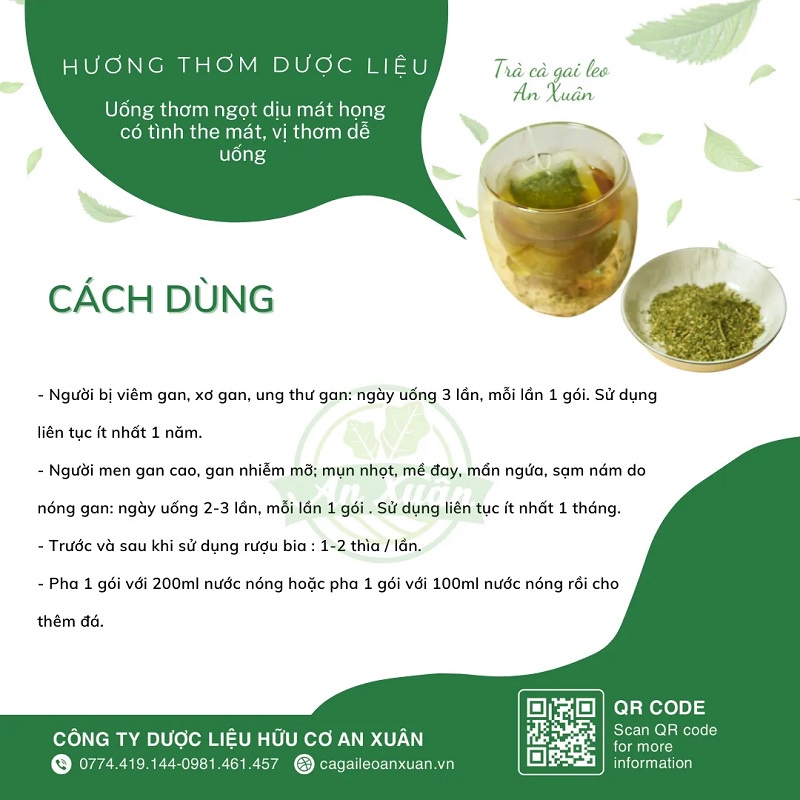 Trà Túi Lọc Cà Gai Leo Giải Độc Gan Hộp 40gr  Mát gan, giải độc gan, thanh nhiệt cơ thể