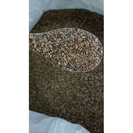 500g Hạt Chia Đen Organic Nam Mỹ