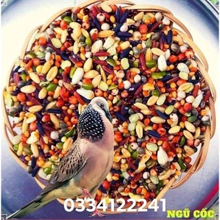 ngũ cốc cu gáy không bắp 20 hạt túi 1kg loại 2