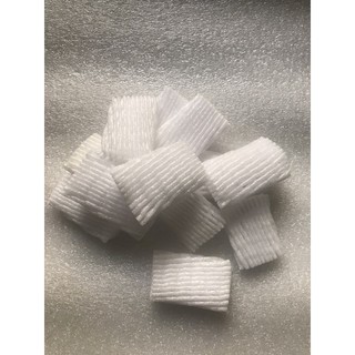 Cây dâu tây Túi xốp mini bao trái dâu - 100 cái