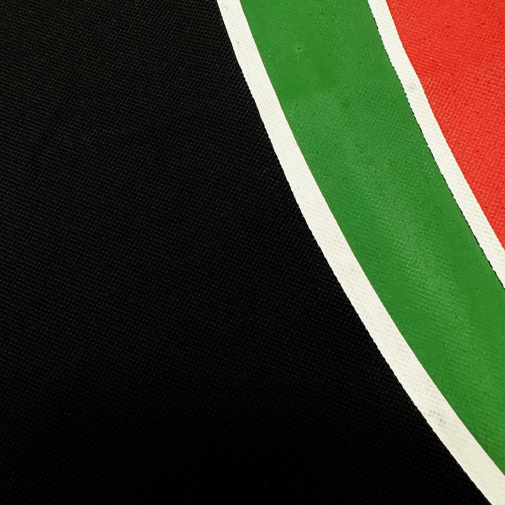 ÁO POLO TYGOS LIMITED CS037