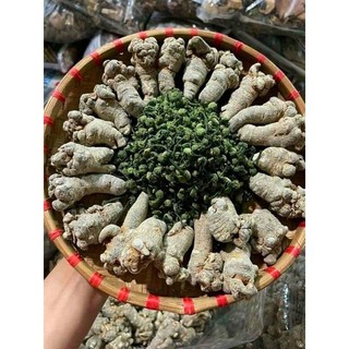Củ tam thất bắc khô 500gram hà giang