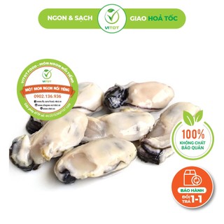 [HỎA TỐC] Ruột Hàu Sữa VITOT Cực Nhiều Dinh Dưỡng Cho Mọi Nhà