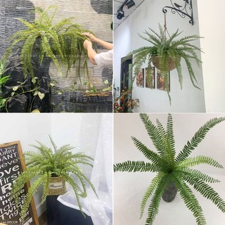 Cây giả - Cành Dương xỉ cổ đại trang trí tiểu cảnh, tường cây LanDecor
