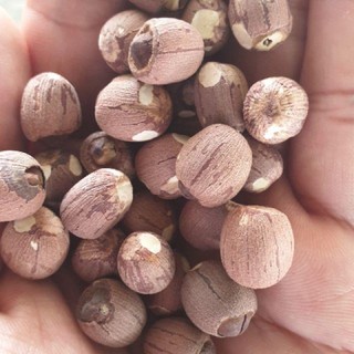 Hạt sen lứt nguyên hạt 500g