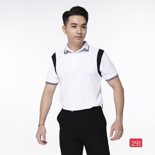 Áo thun nam cổ bẻ cao cấp áo phông đẹp giá rẻ,AT 291