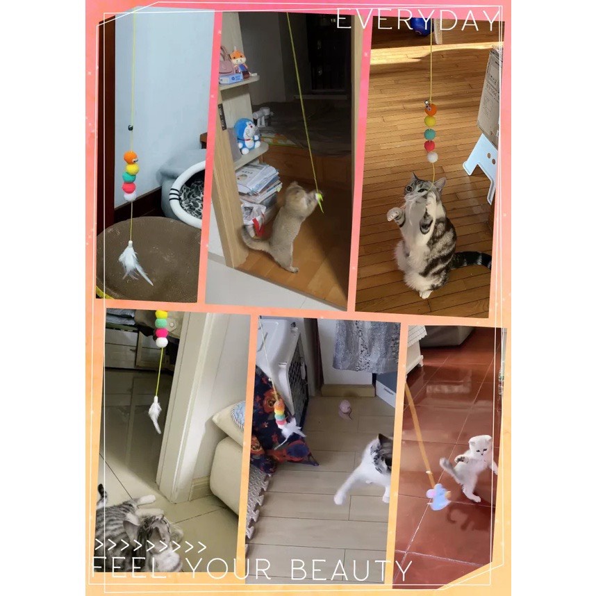 Cần câu mèo - Đồ chơi cho mèo - CHỌN MẪU