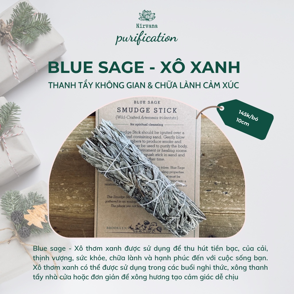 Xô xanh - Blue sage - Thanh tẩy không gian